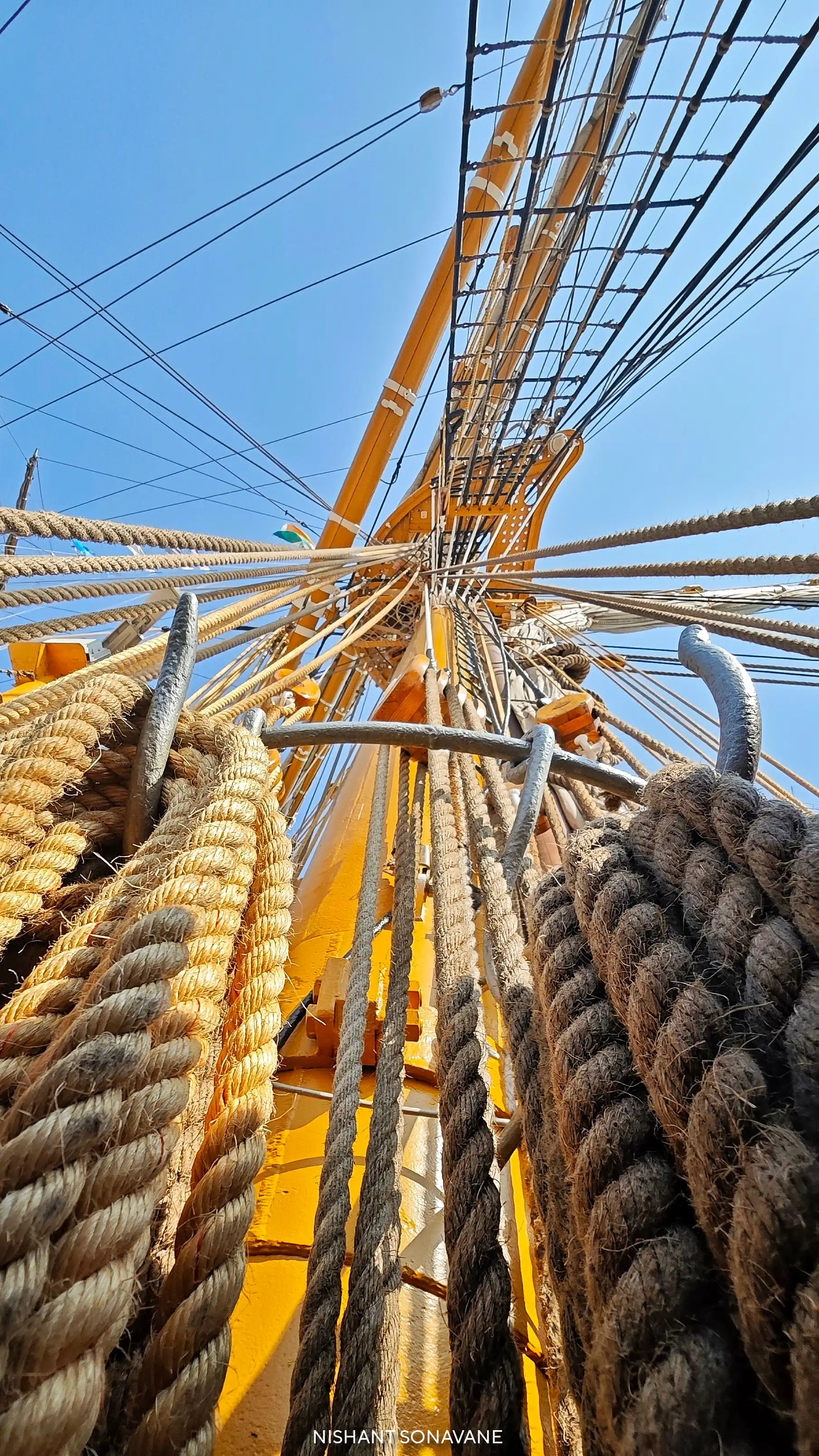Amerigo Vespucci 14