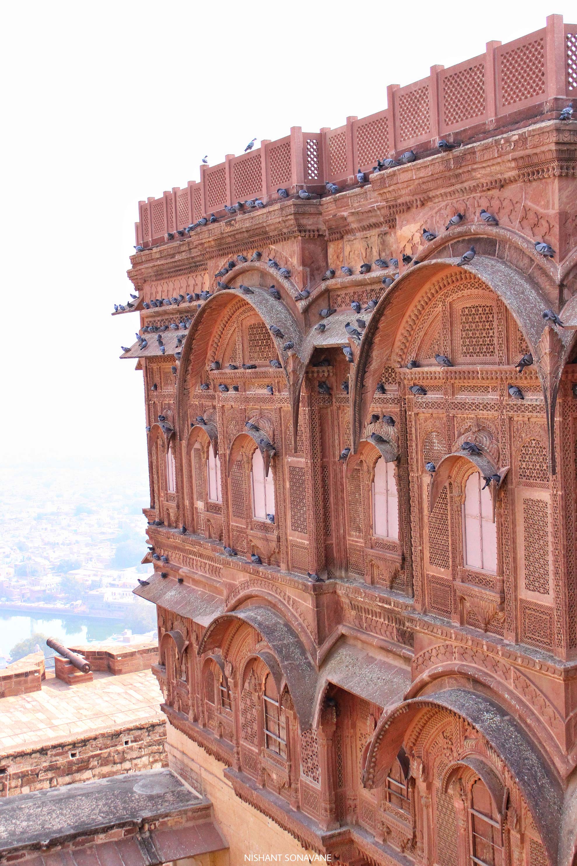 Mehrangarh Fort House Of Pigeons