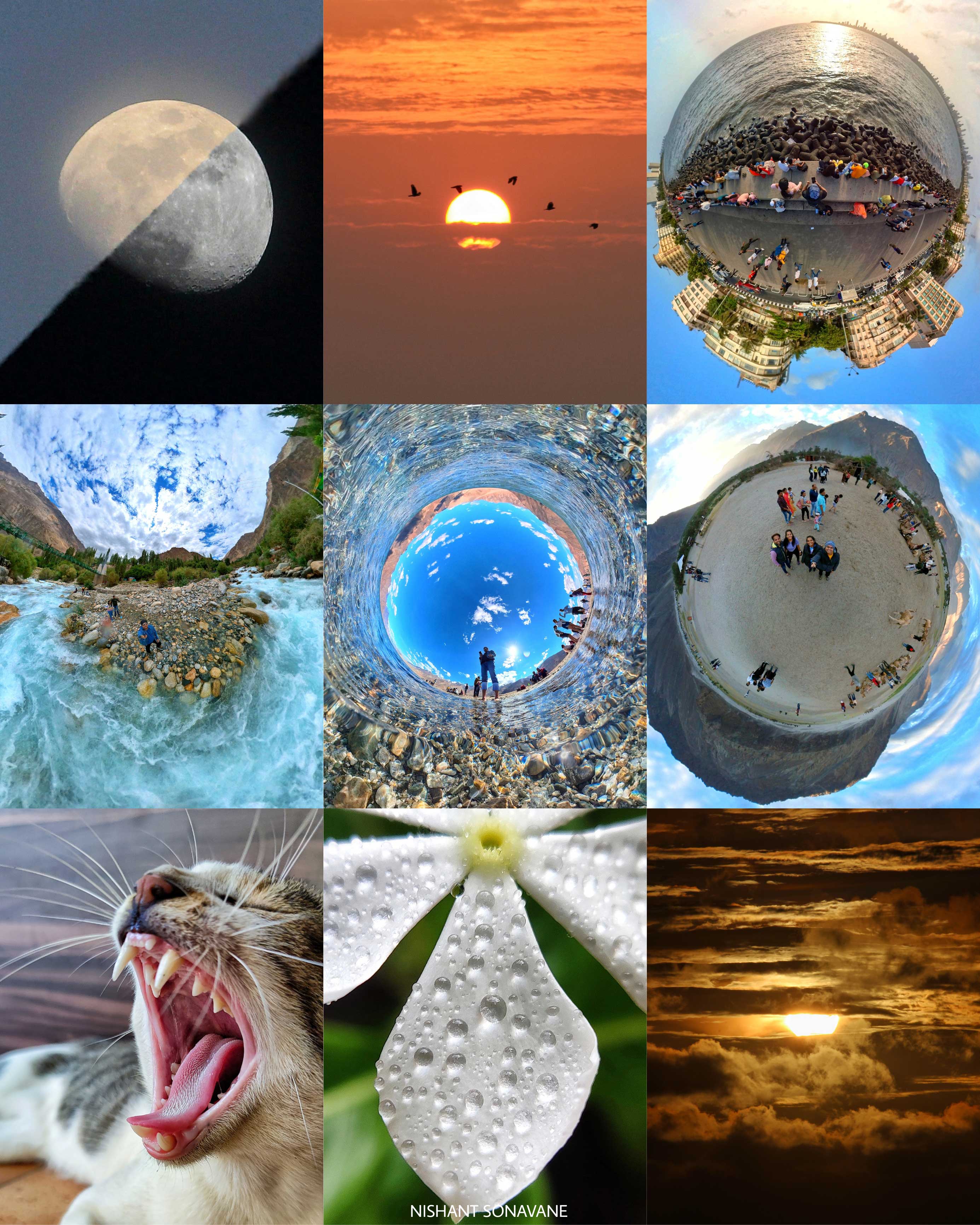 Photography collage dated 28 August 2022